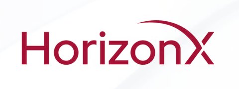 Horizon X